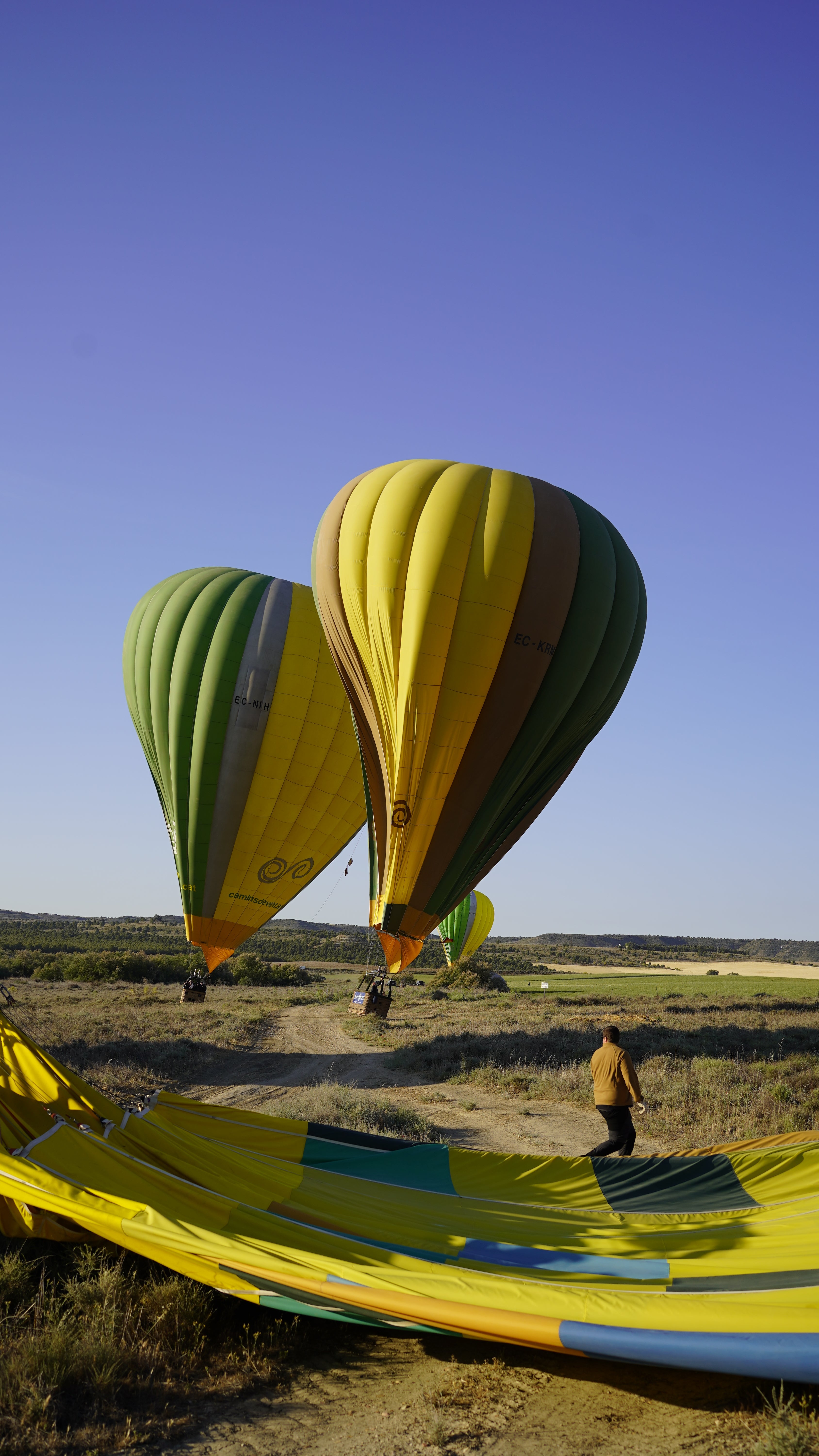 Balloon Festival Experience